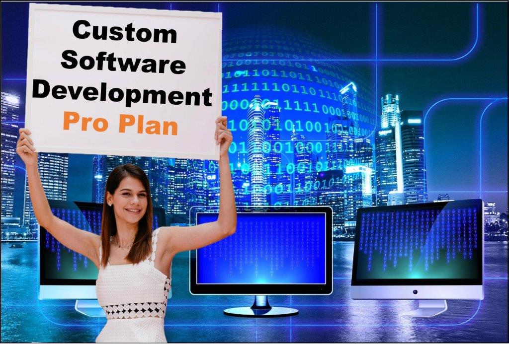custom software development agency in Bismarck North Dakota