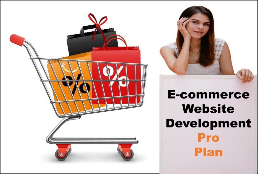 professional ecommerce website development agency in Bismarck North Dakota