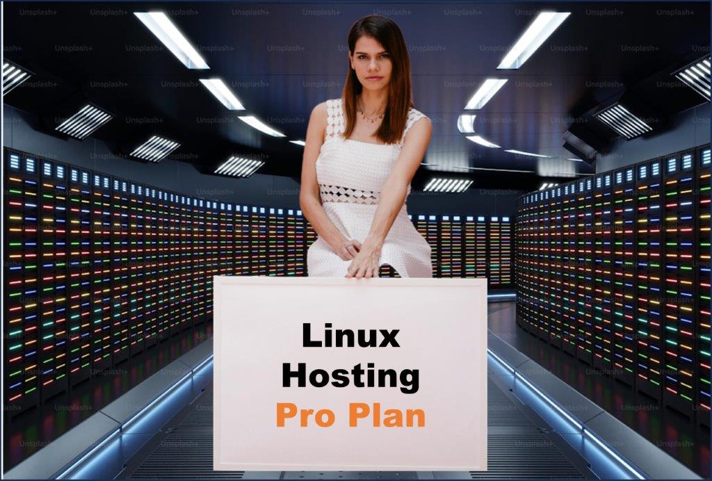 linux hosting windows hosting provider in Bismarck North Dakota
