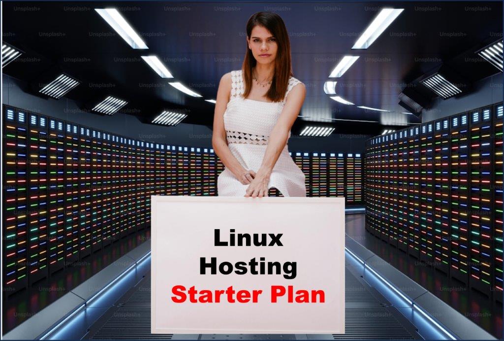 Website Hosting in Bismarck North Dakota