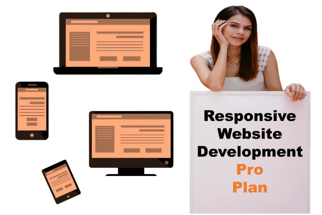 expert responsive website development agency in Bismarck North Dakota