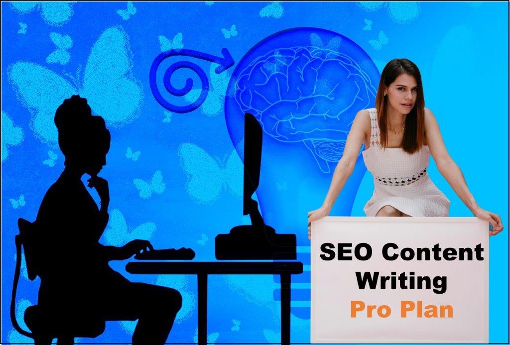 seo content writing agency Bismarck North Dakota
