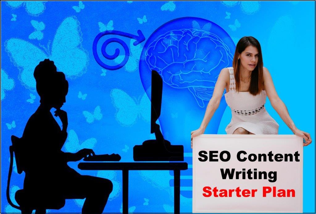 seo content writing service provider in Bismarck North Dakota