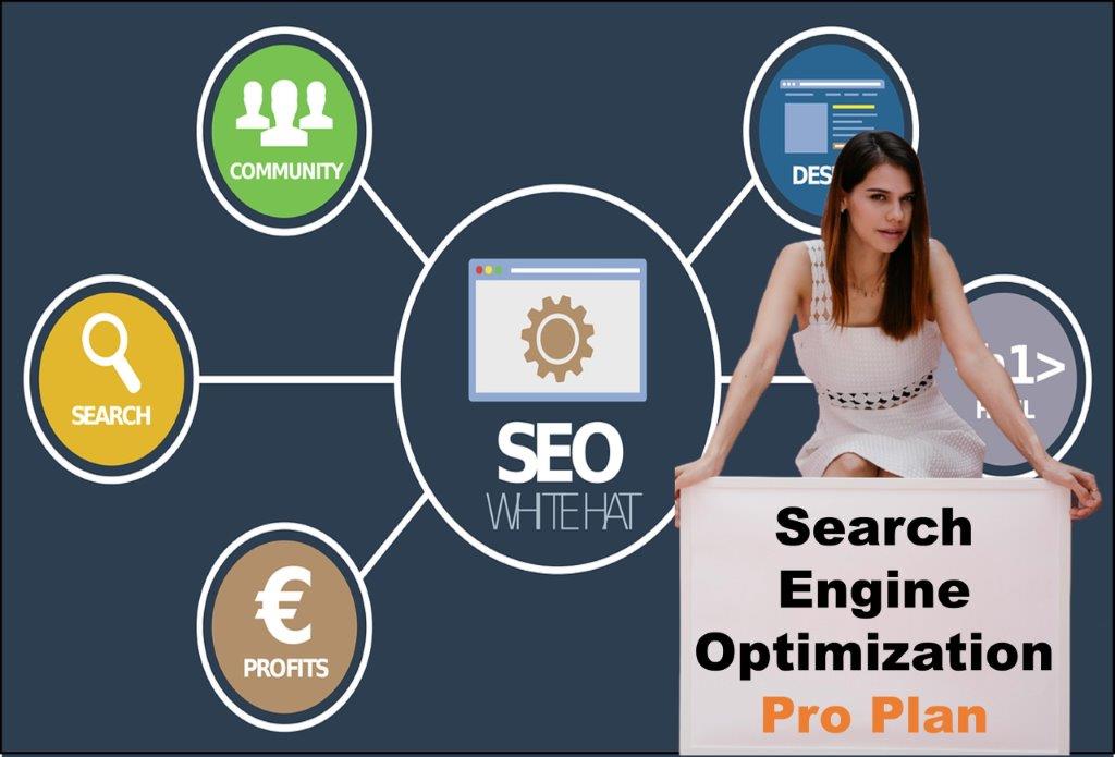 seo company Bismarck North Dakota