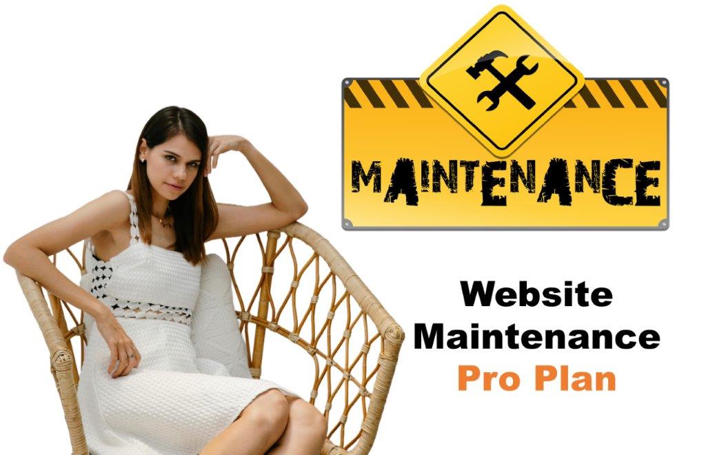 website maintenance agency in Bismarck North Dakota