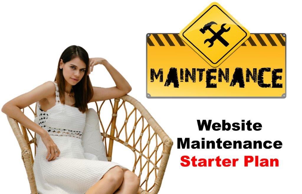 Website Maintenance in Bismarck North Dakota