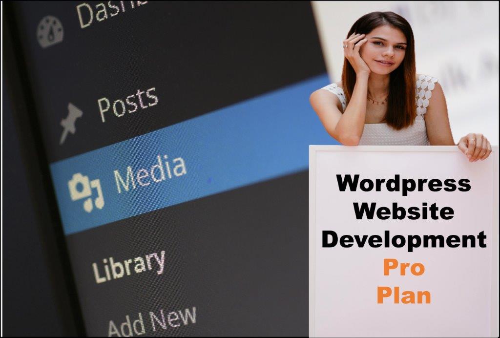 wordpress website designing in Bismarck North Dakota