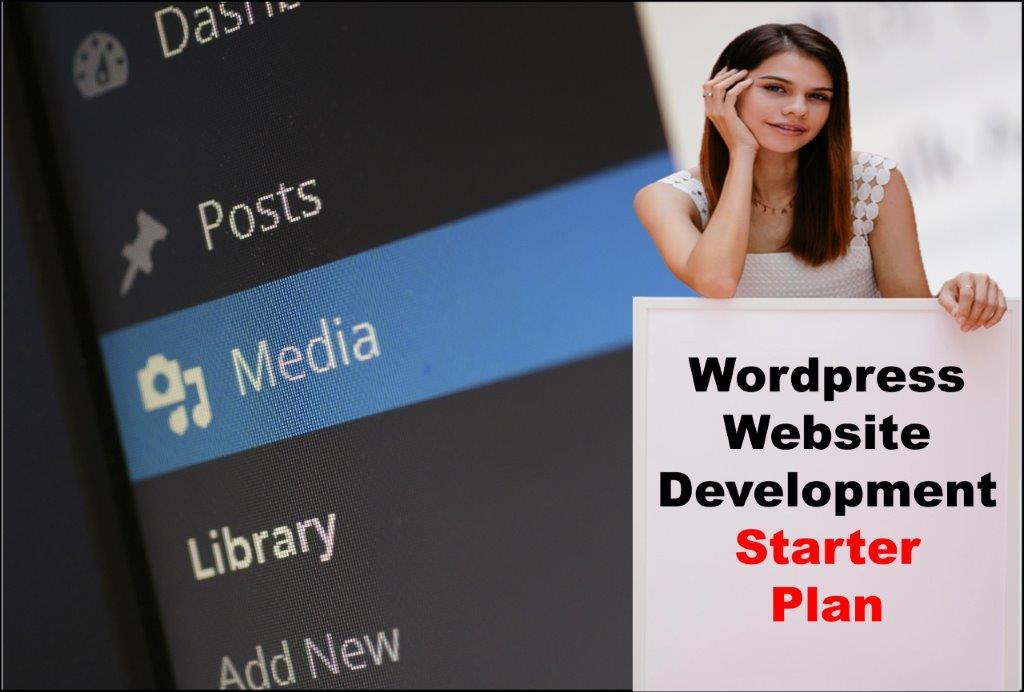 wordpress website development agency in Bismarck North Dakota